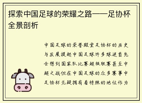 探索中国足球的荣耀之路——足协杯全景剖析